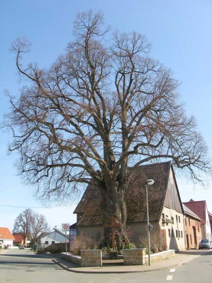 Bild 2 von Linde an der Hauptstraße